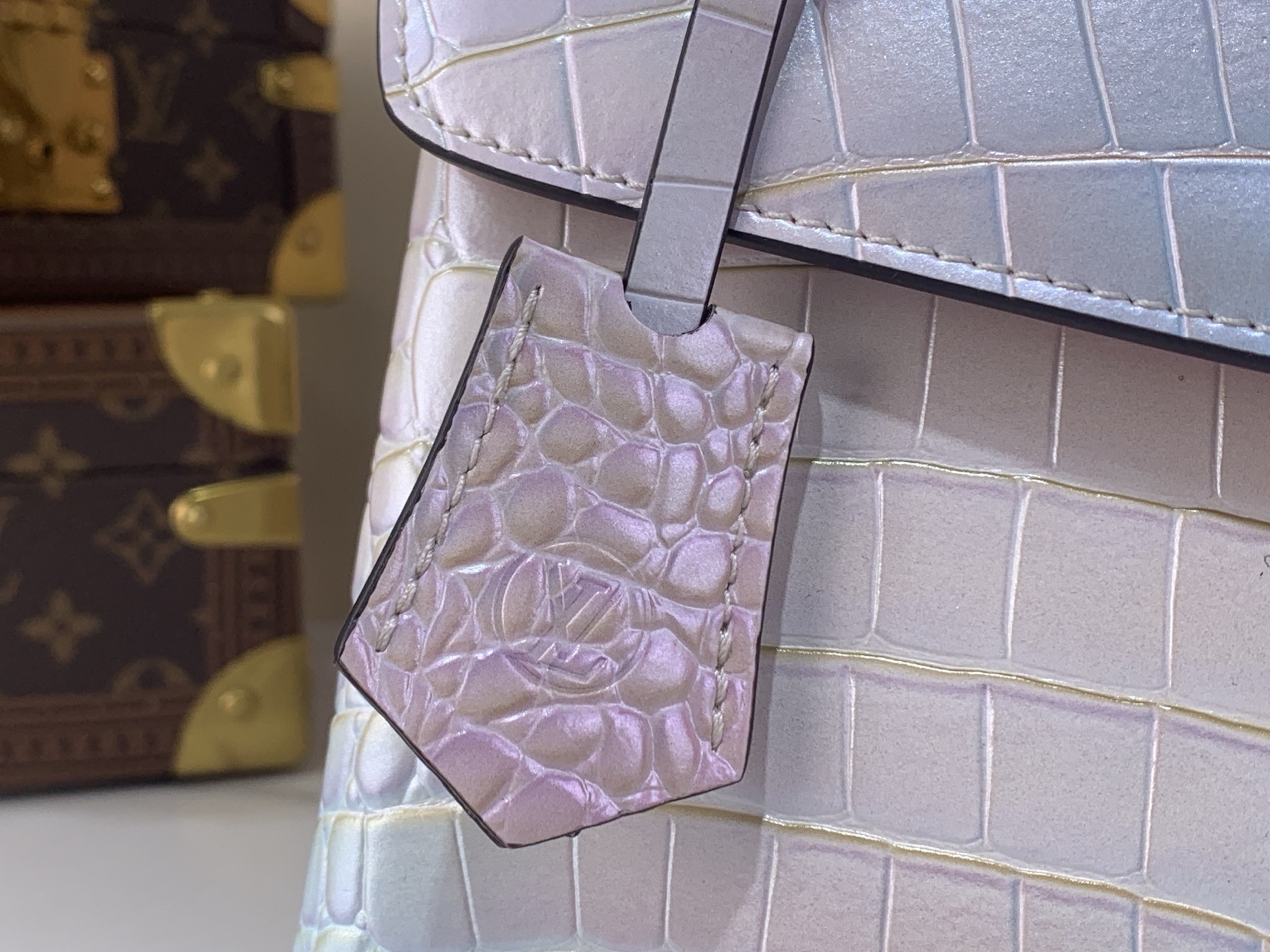 Louis Vuitton Basic Bag M-s