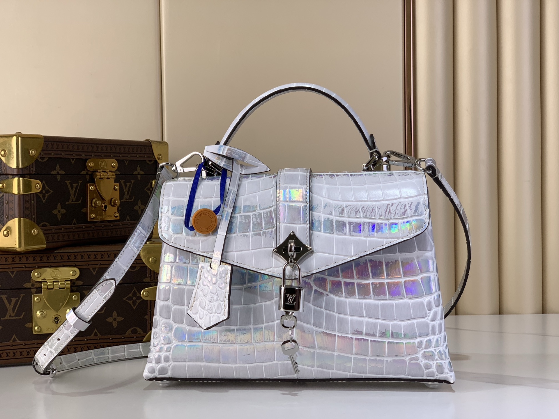 Louis Vuitton Basic Bag M-s