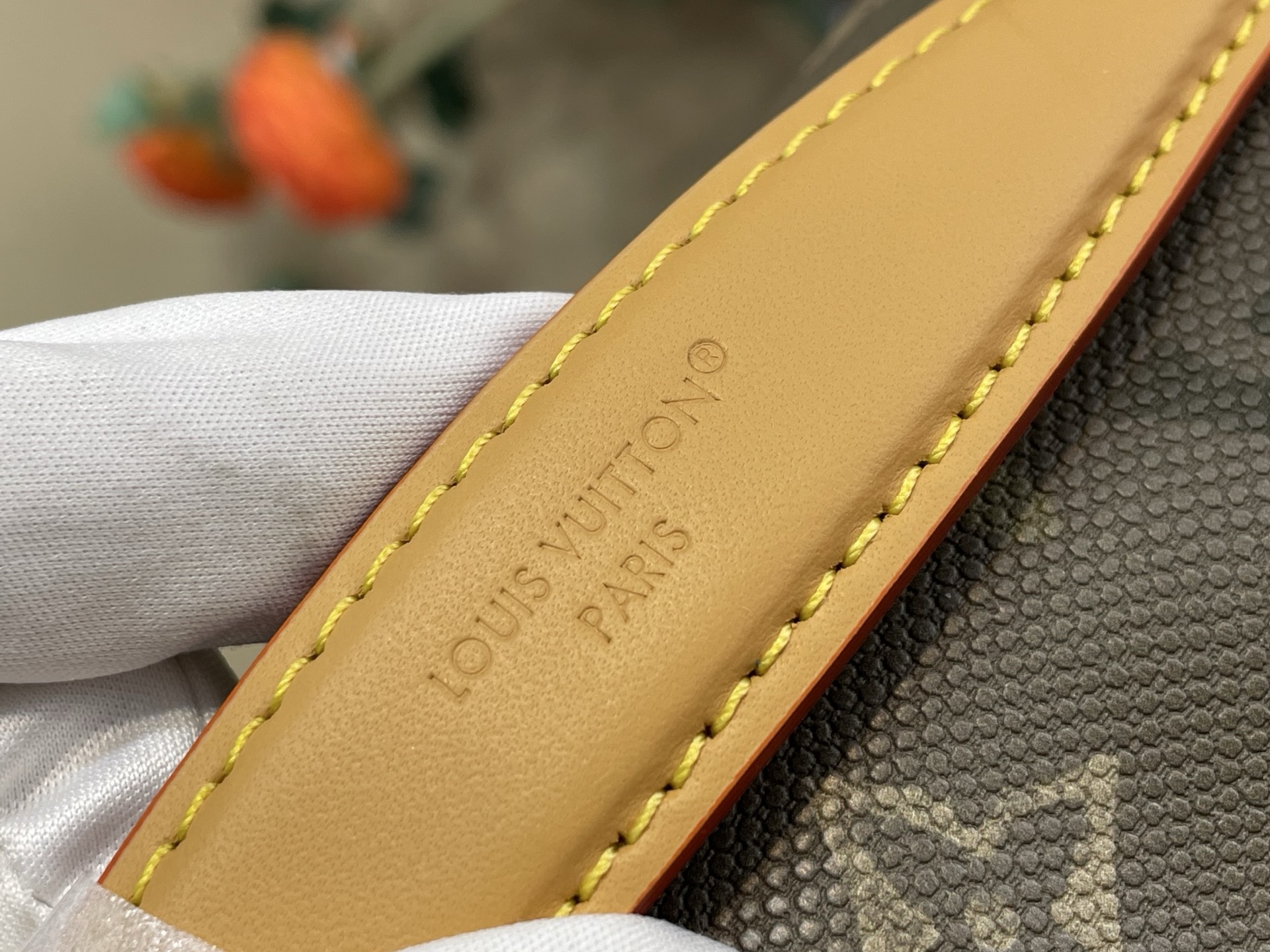 Louis Vuitton Basic Bag Canvas Green M-l-s