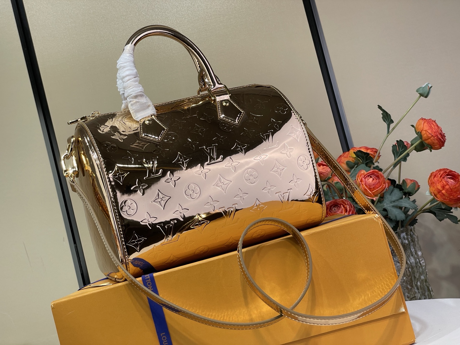 Louis Vuitton Basic Bag Canvas M-l-s