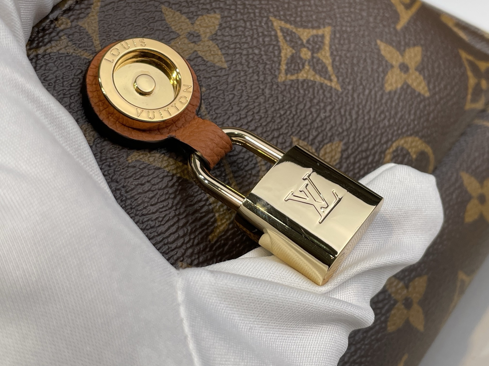 Louis Vuitton Basic Bag Canvas Black M-s