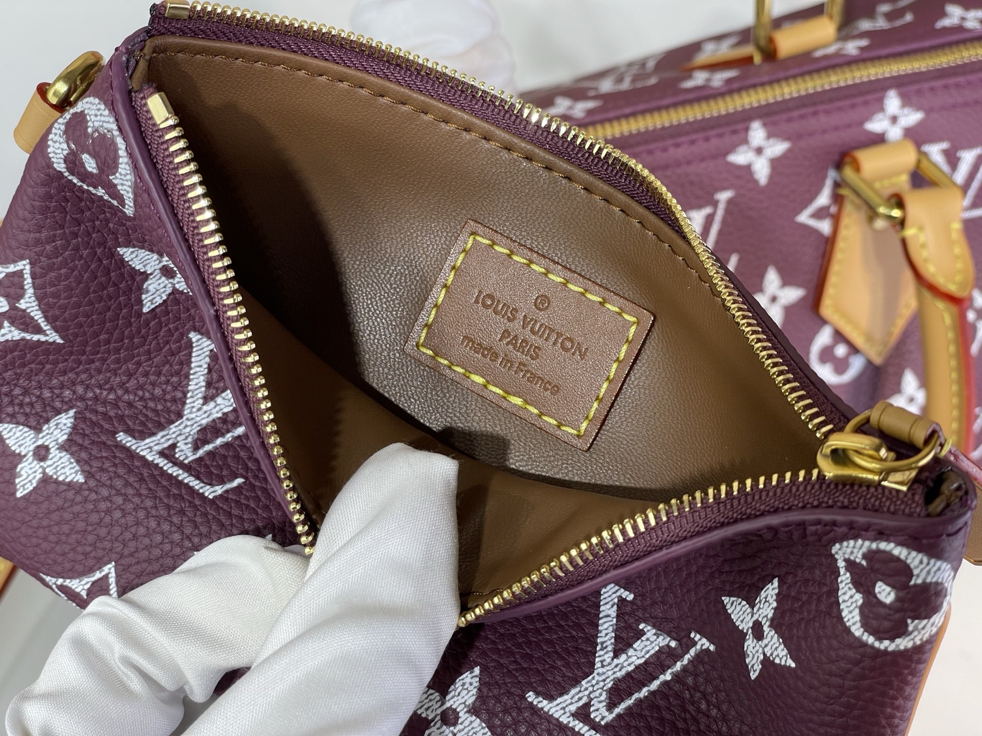 Louis Vuitton Basic Bag Cow Leather M-l-s