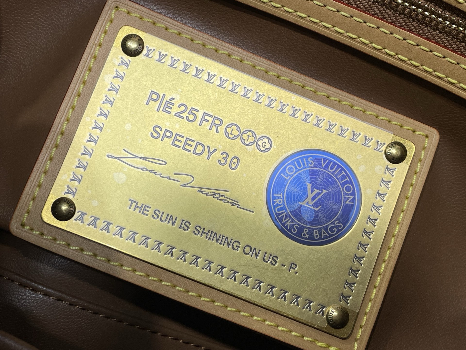 Louis Vuitton Basic Bag Cow Leather M-l-s