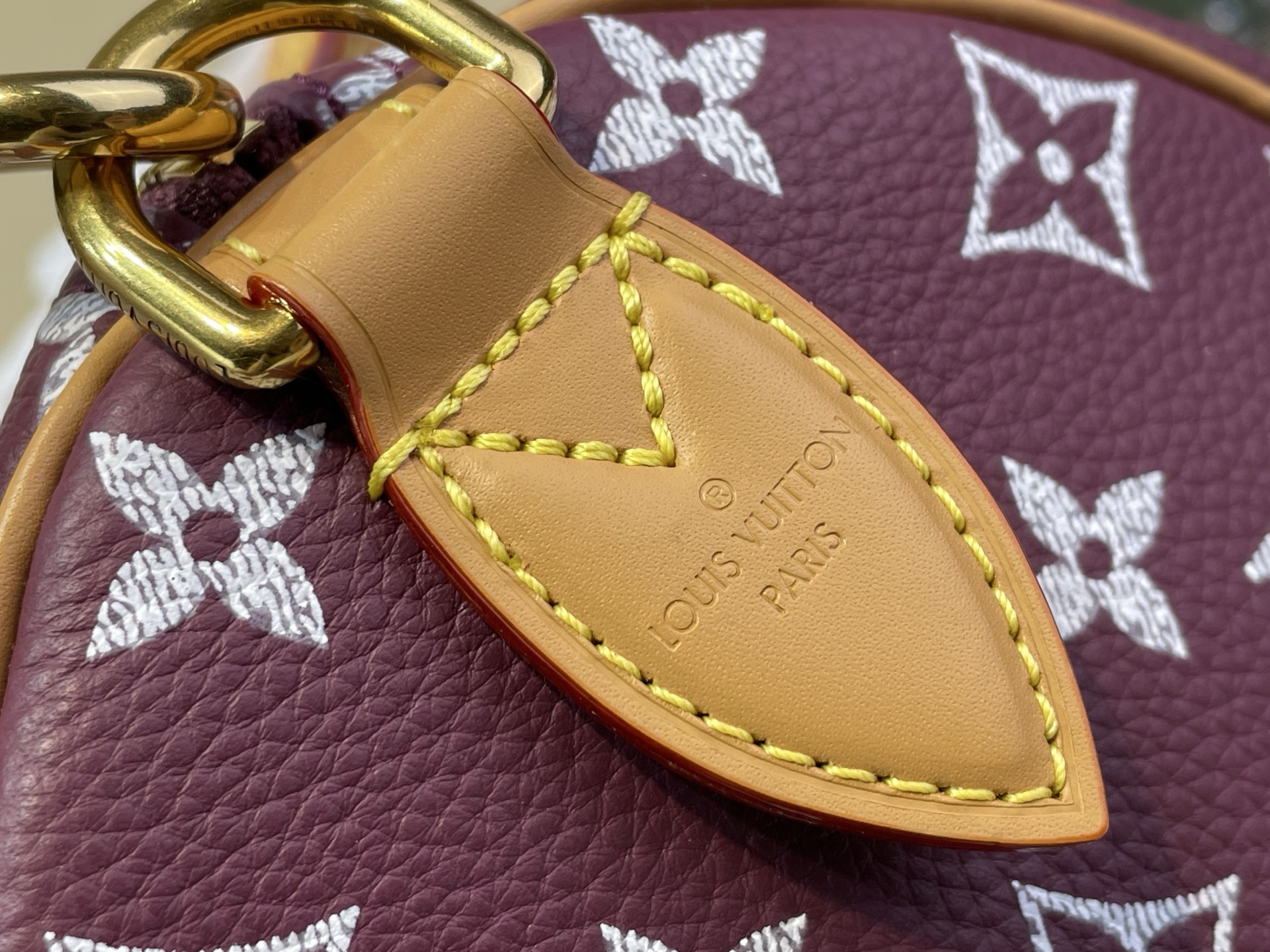 Louis Vuitton Basic Bag Cow Leather M-l-s