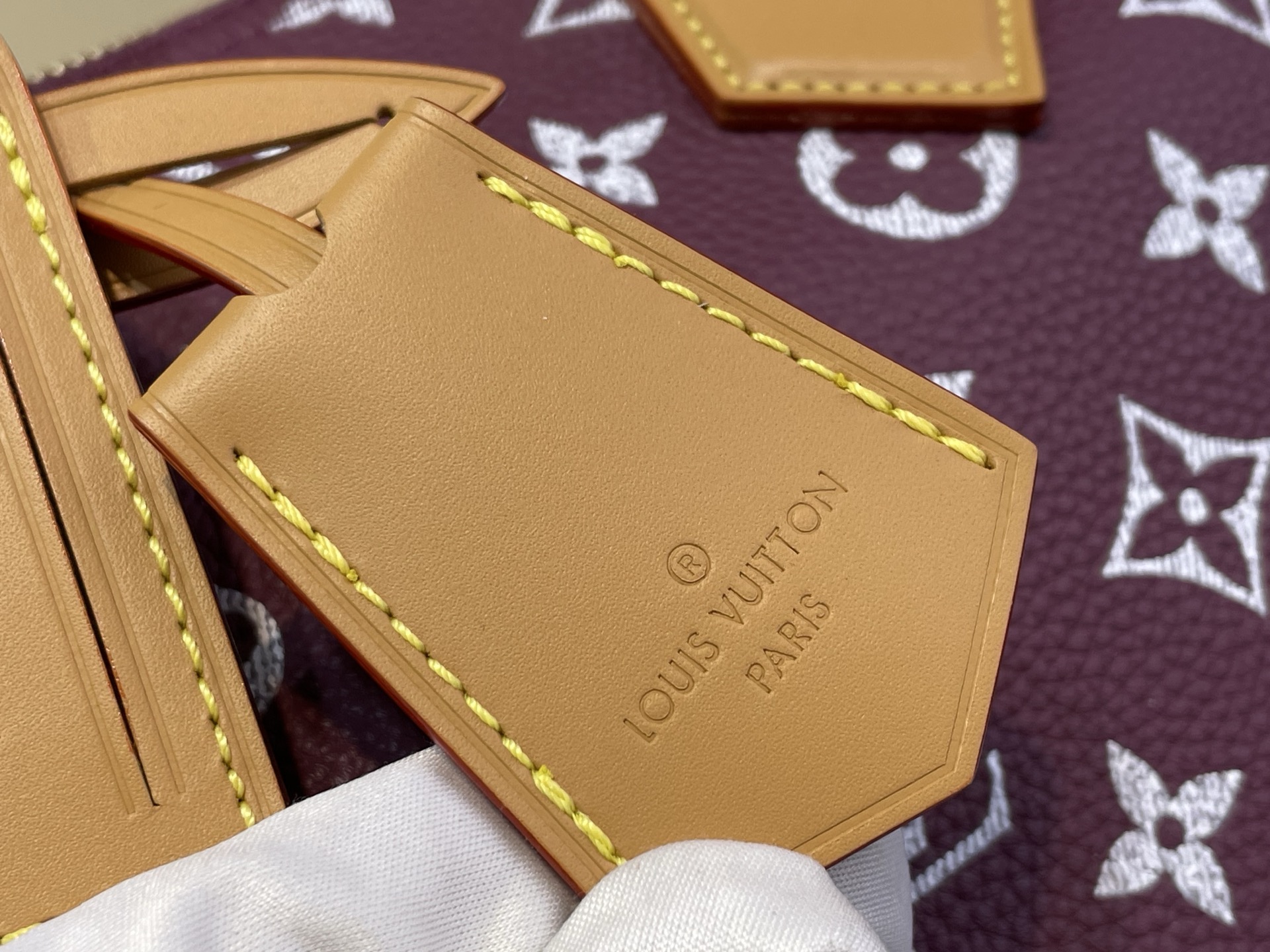 Louis Vuitton Basic Bag Cow Leather M-l-s