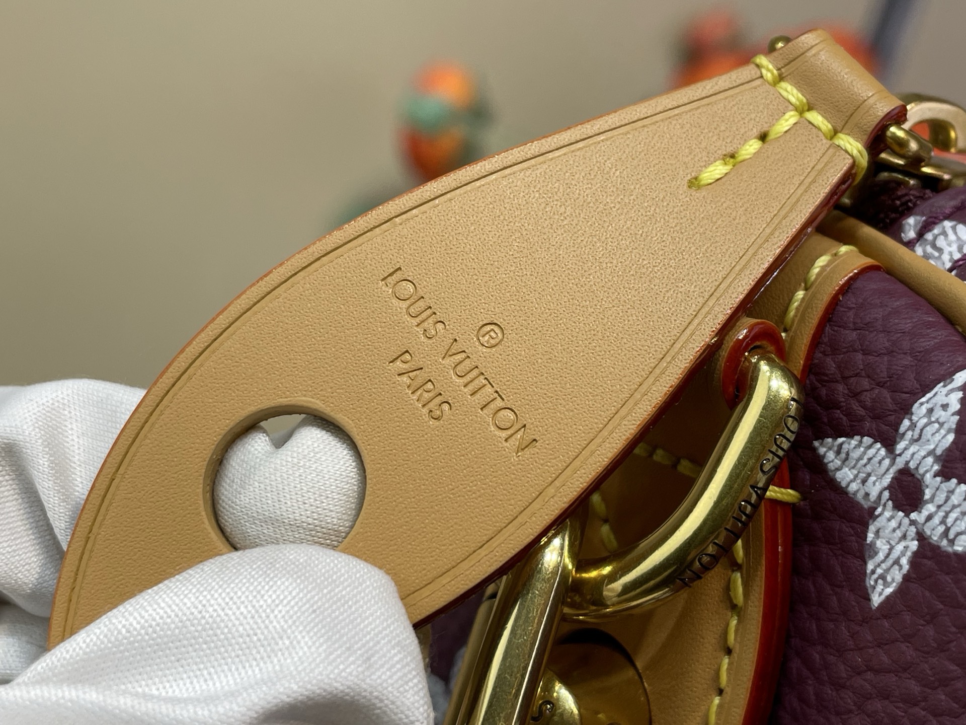 Louis Vuitton Basic Bag Cow Leather M-l-s