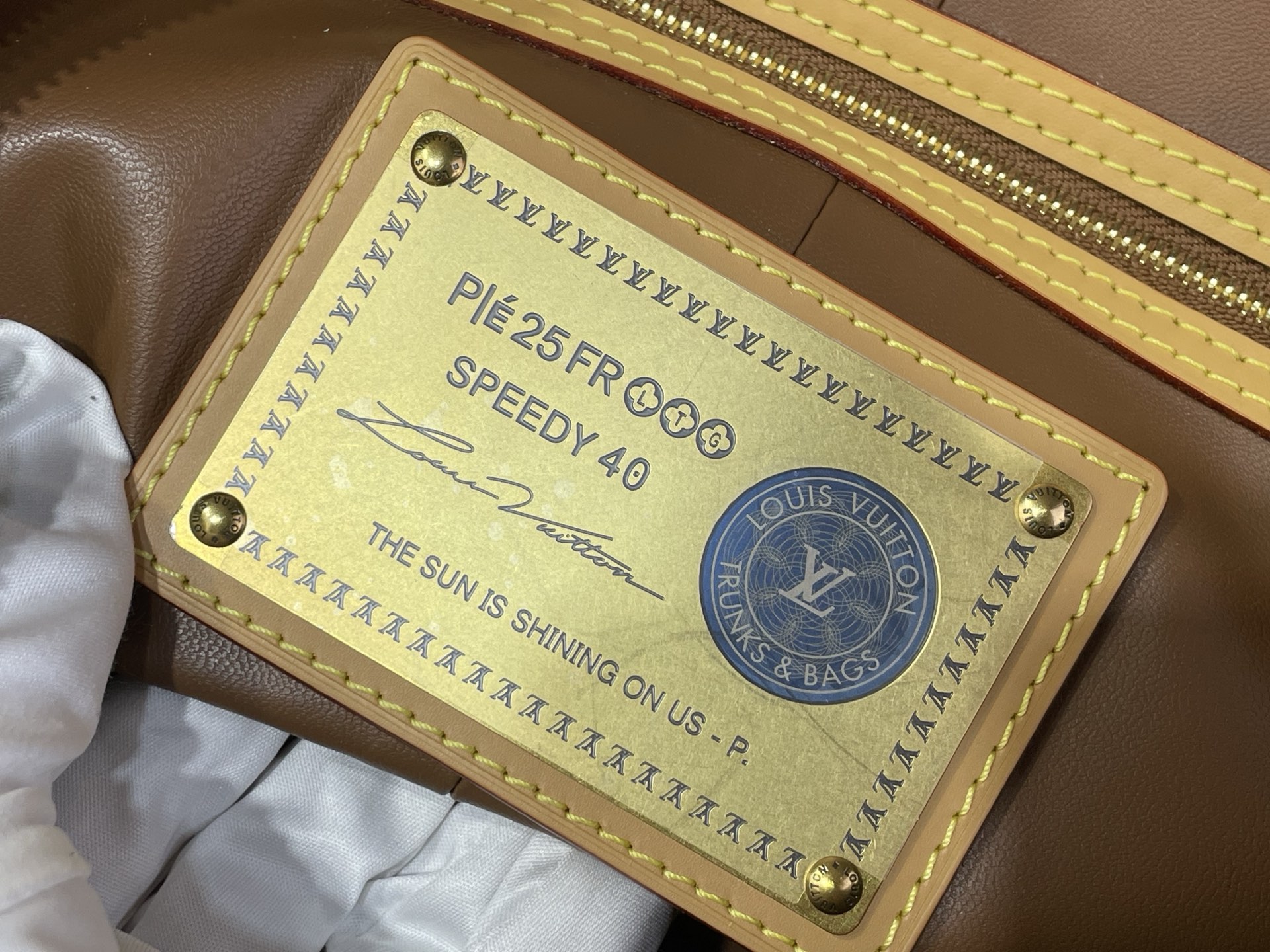 Louis Vuitton Basic Bag Cow Leather M-l-s