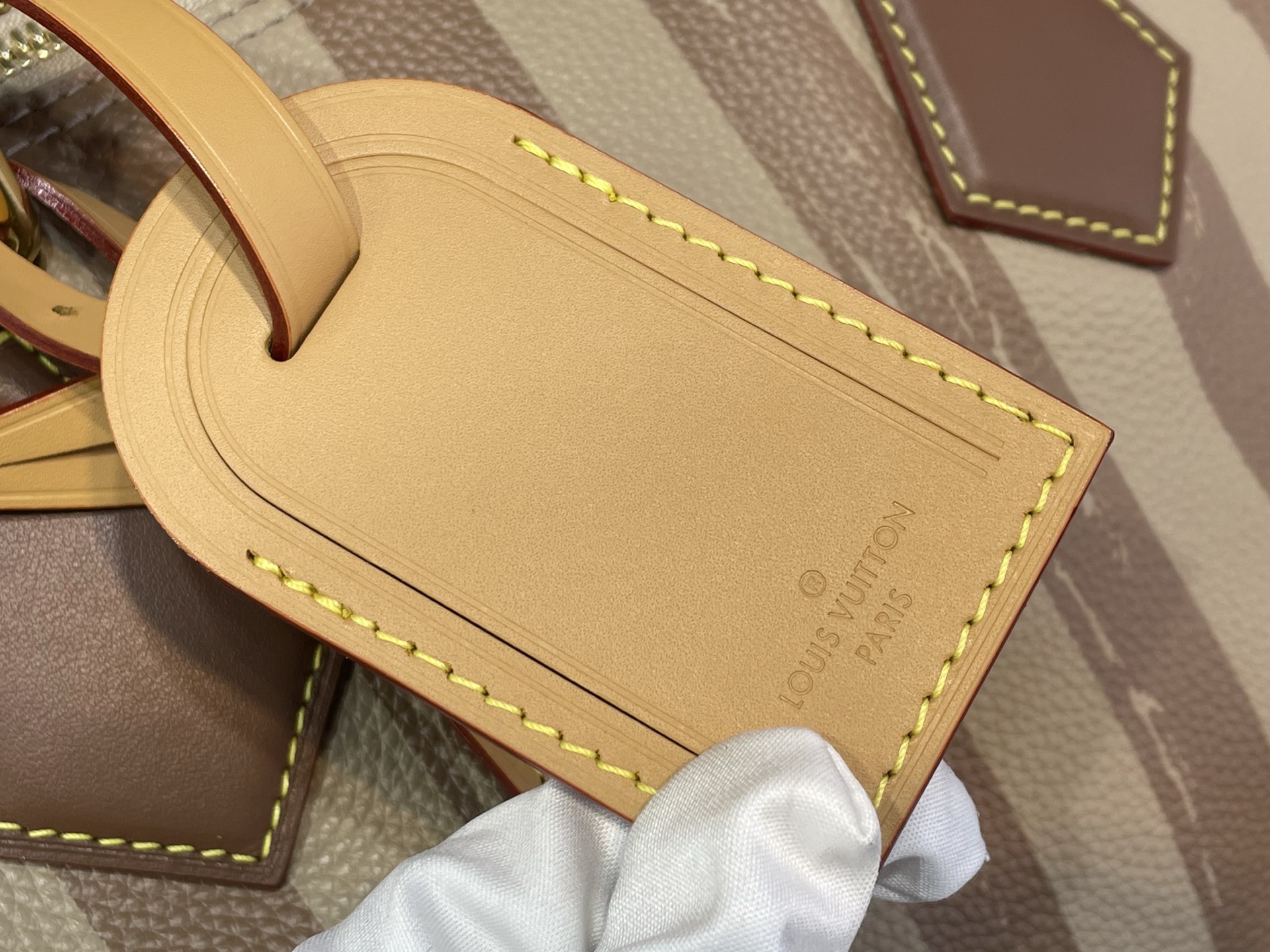 Louis Vuitton Basic Bag Cow Leather M-l-s