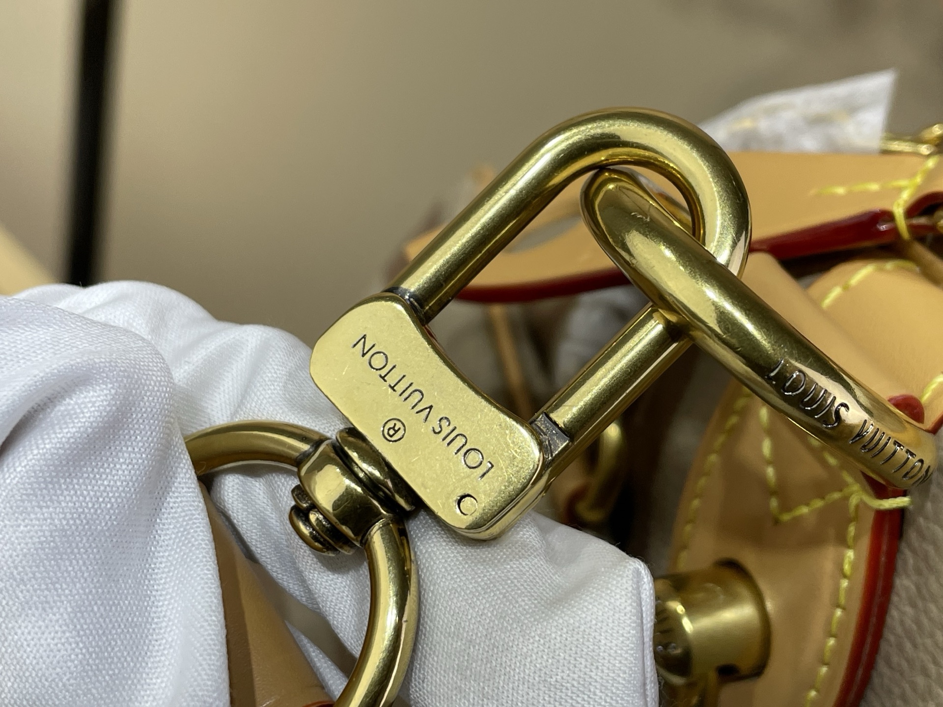 Louis Vuitton Basic Bag Cow Leather M-l-s