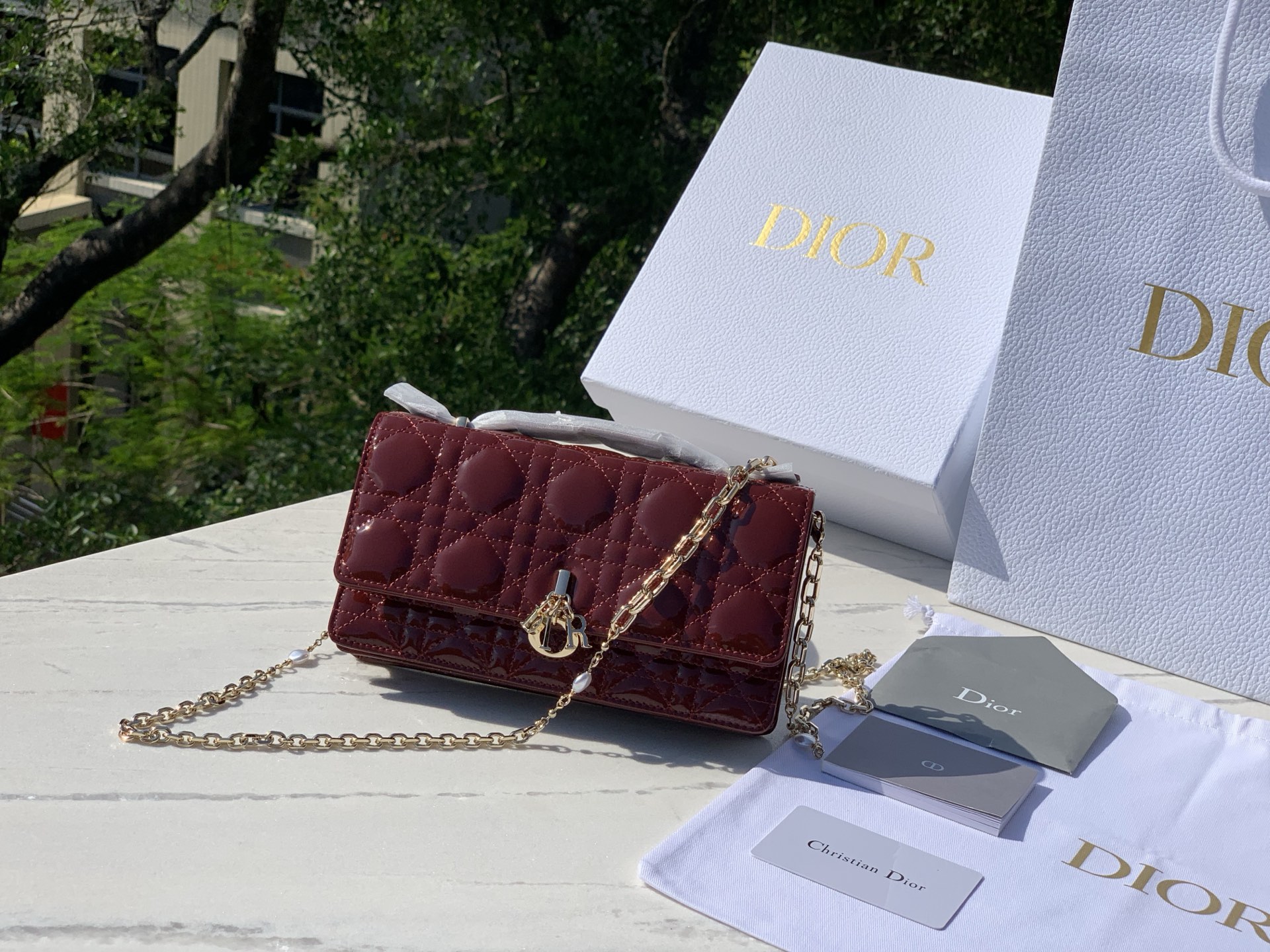 Dior Female Basic Bag M-l