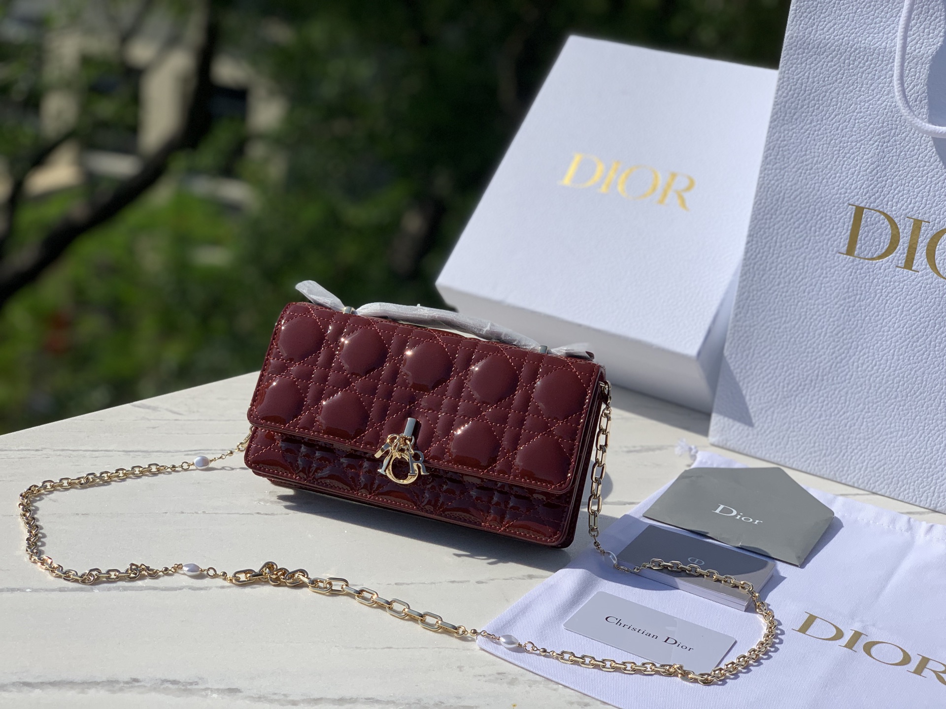 Dior Female Basic Bag M-l