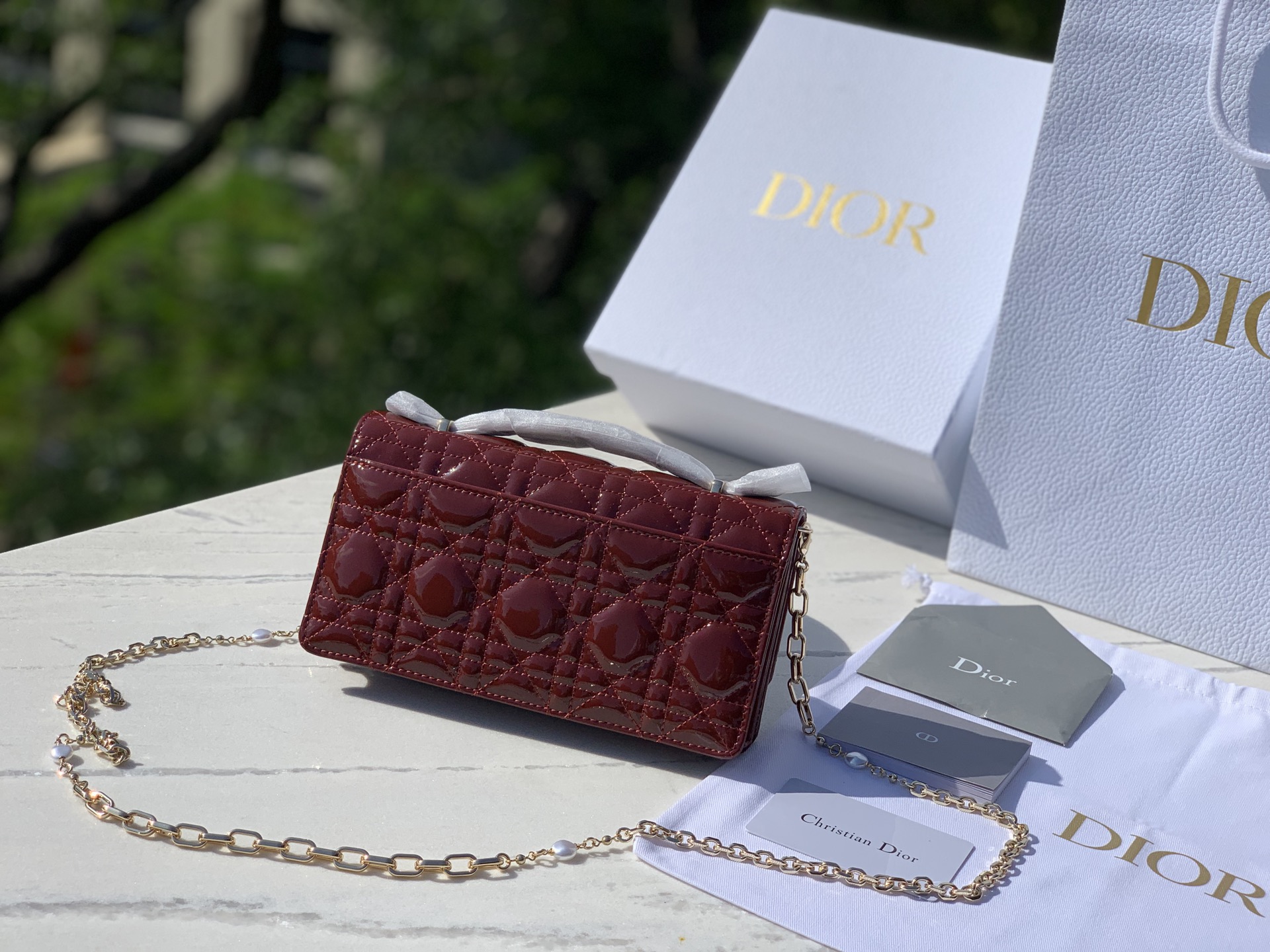Dior Female Basic Bag M-l