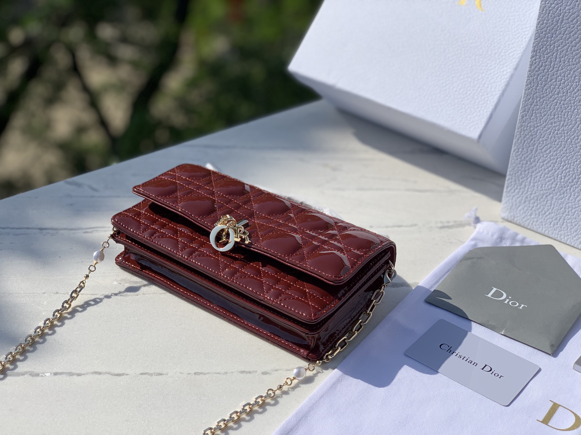 Dior Female Basic Bag M-l