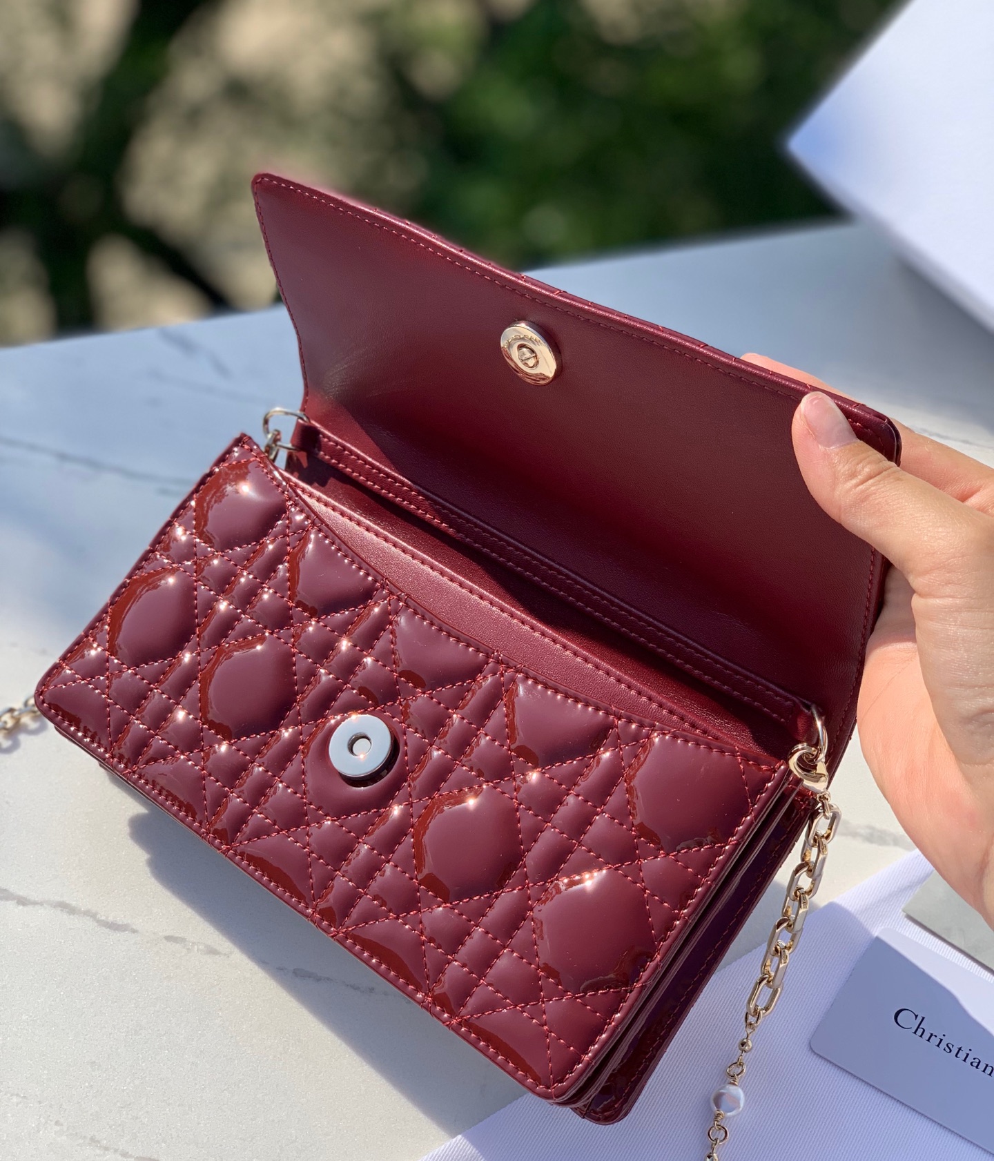 Dior Female Basic Bag M-l