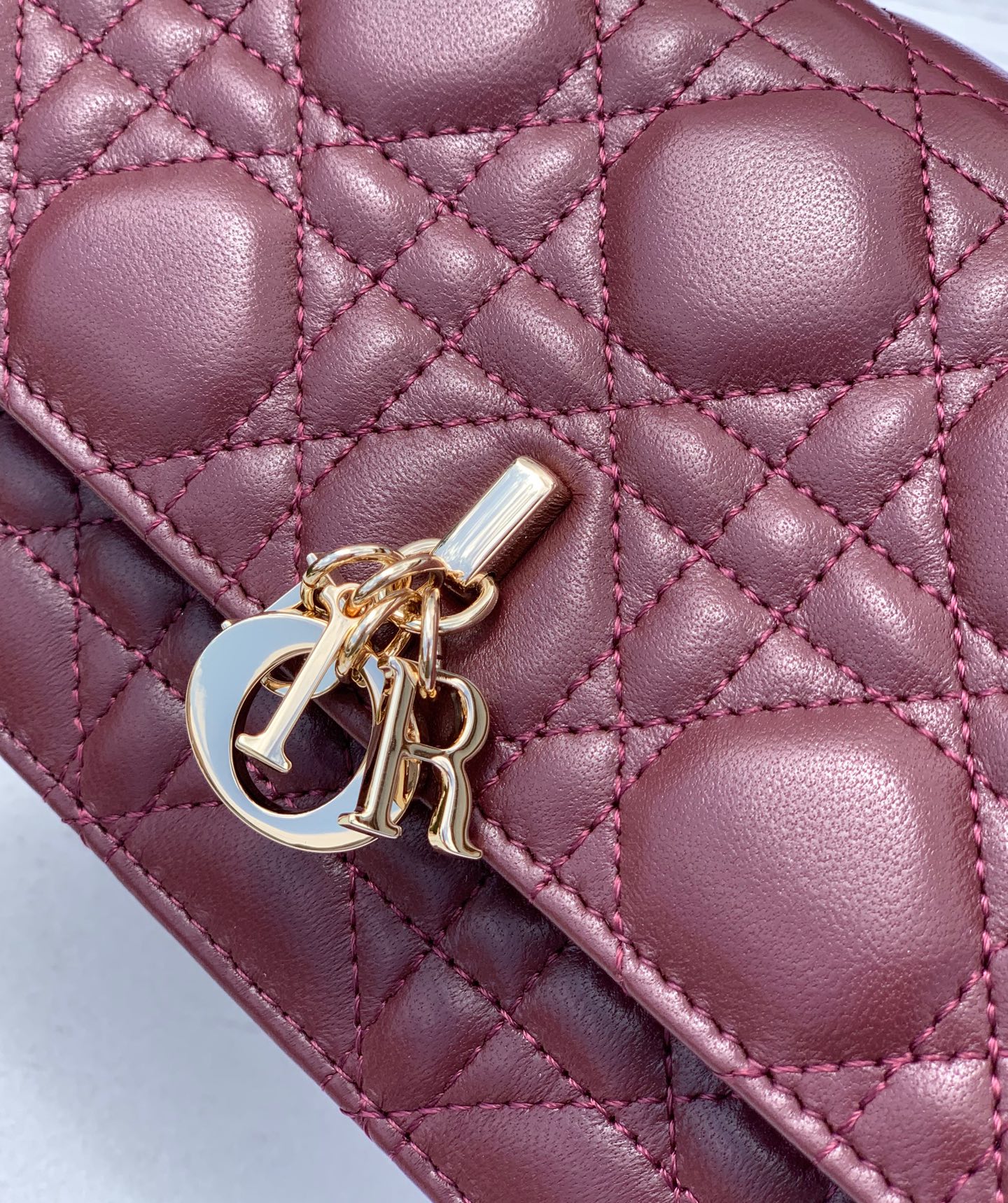 Dior Female Basic Bag Sheepskin M-l