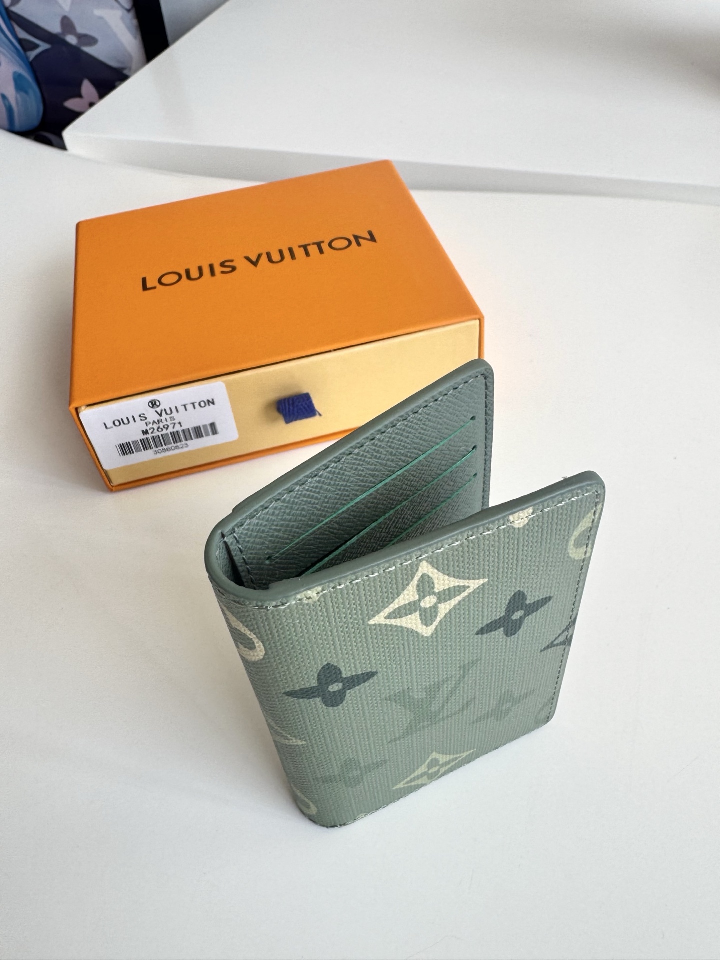 Louis Vuitton Basic Bag Cow Leather M-l-s