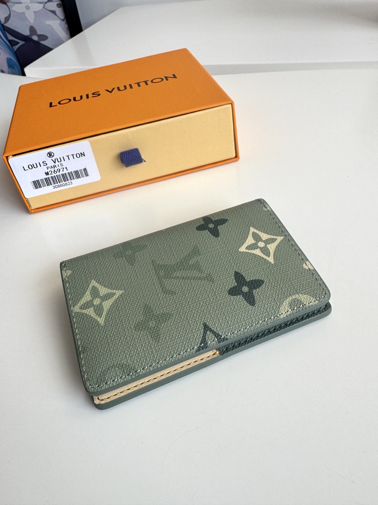 Louis Vuitton Basic Bag Cow Leather M-l-s