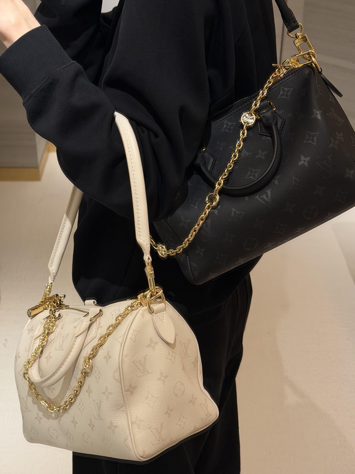 Louis Vuitton Basic Bag S