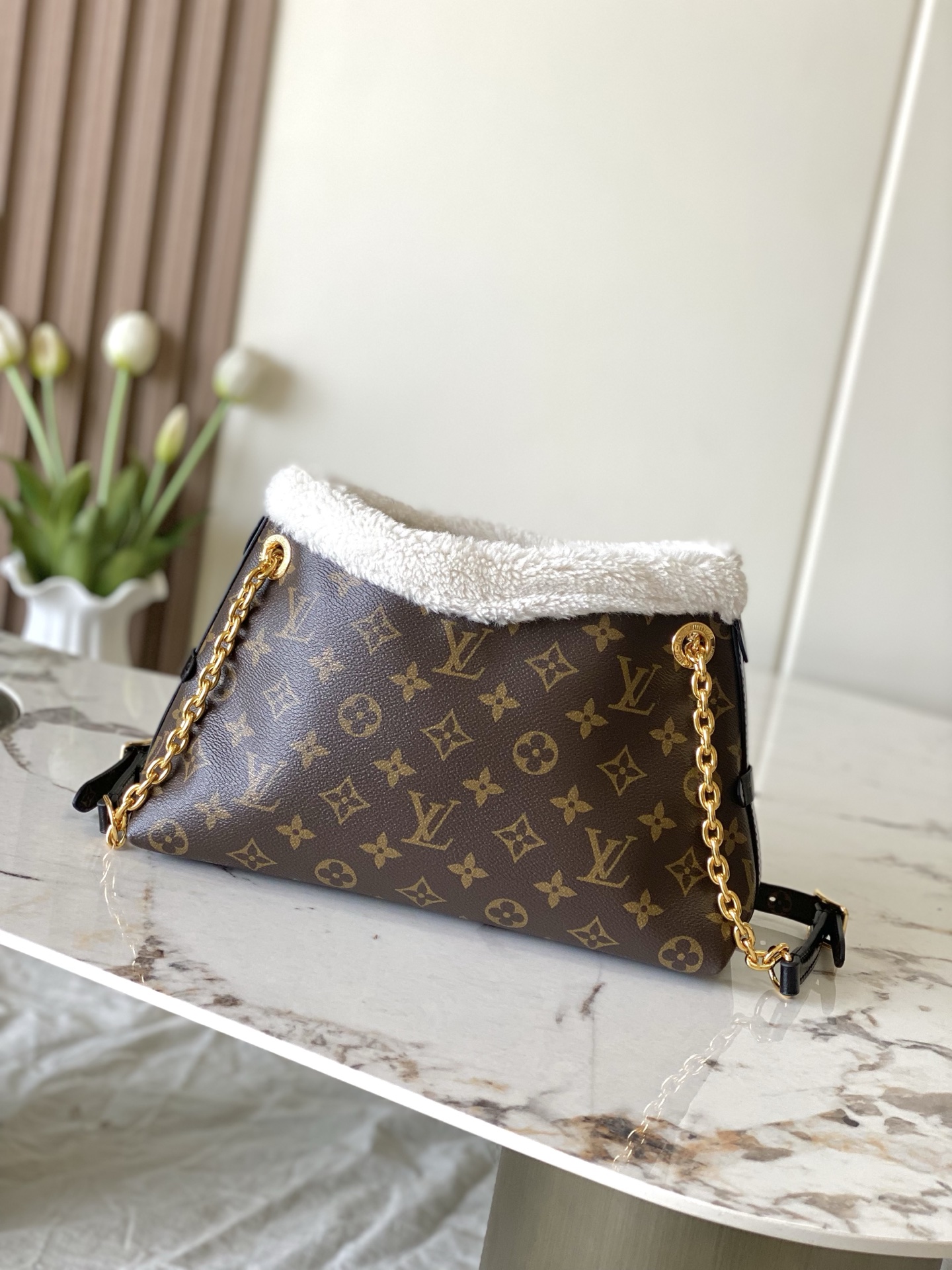 Louis Vuitton Basic Bag Canvas M-l