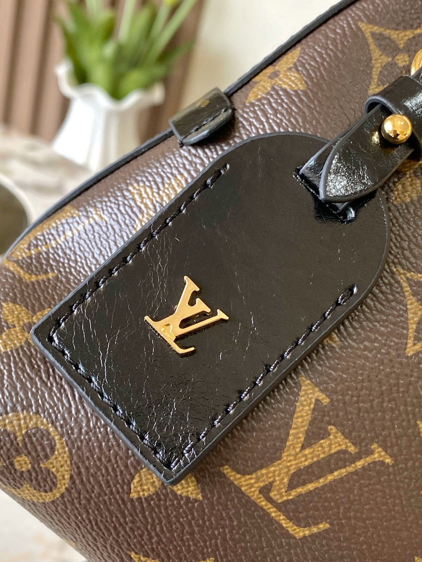 Louis Vuitton Basic Bag Canvas M-l
