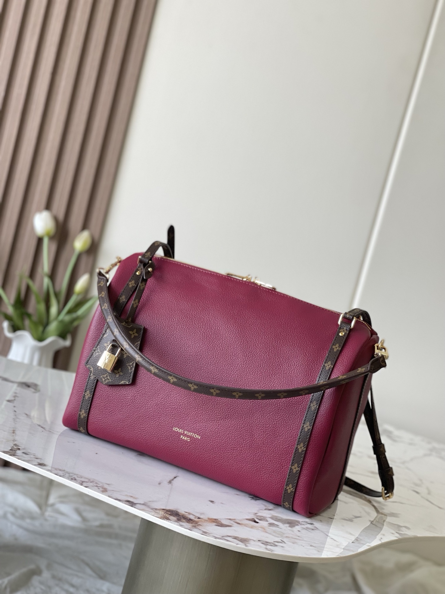 Louis Vuitton Female Basic Bag Cow Leather M-s