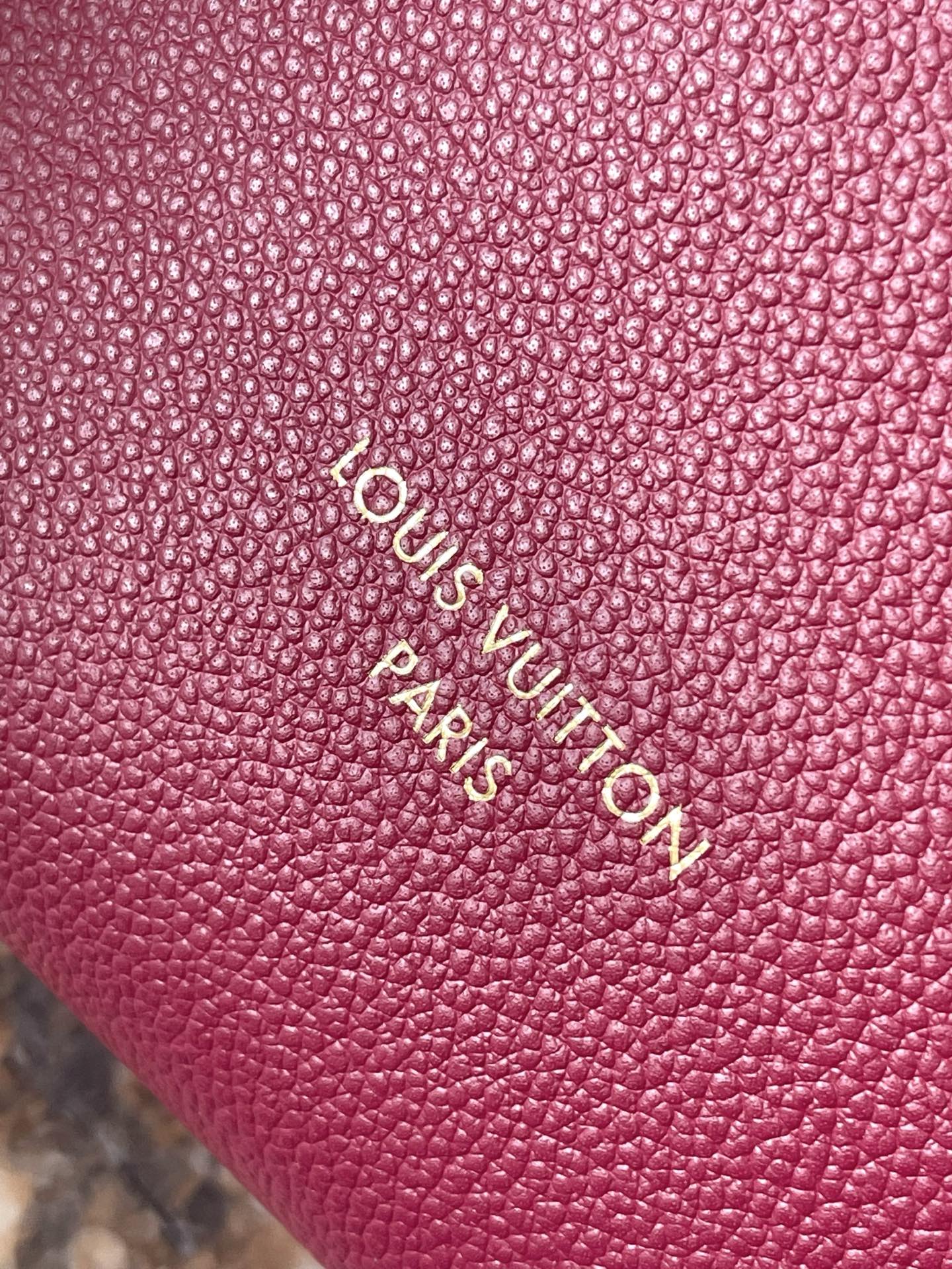 Louis Vuitton Female Basic Bag Cow Leather M-s