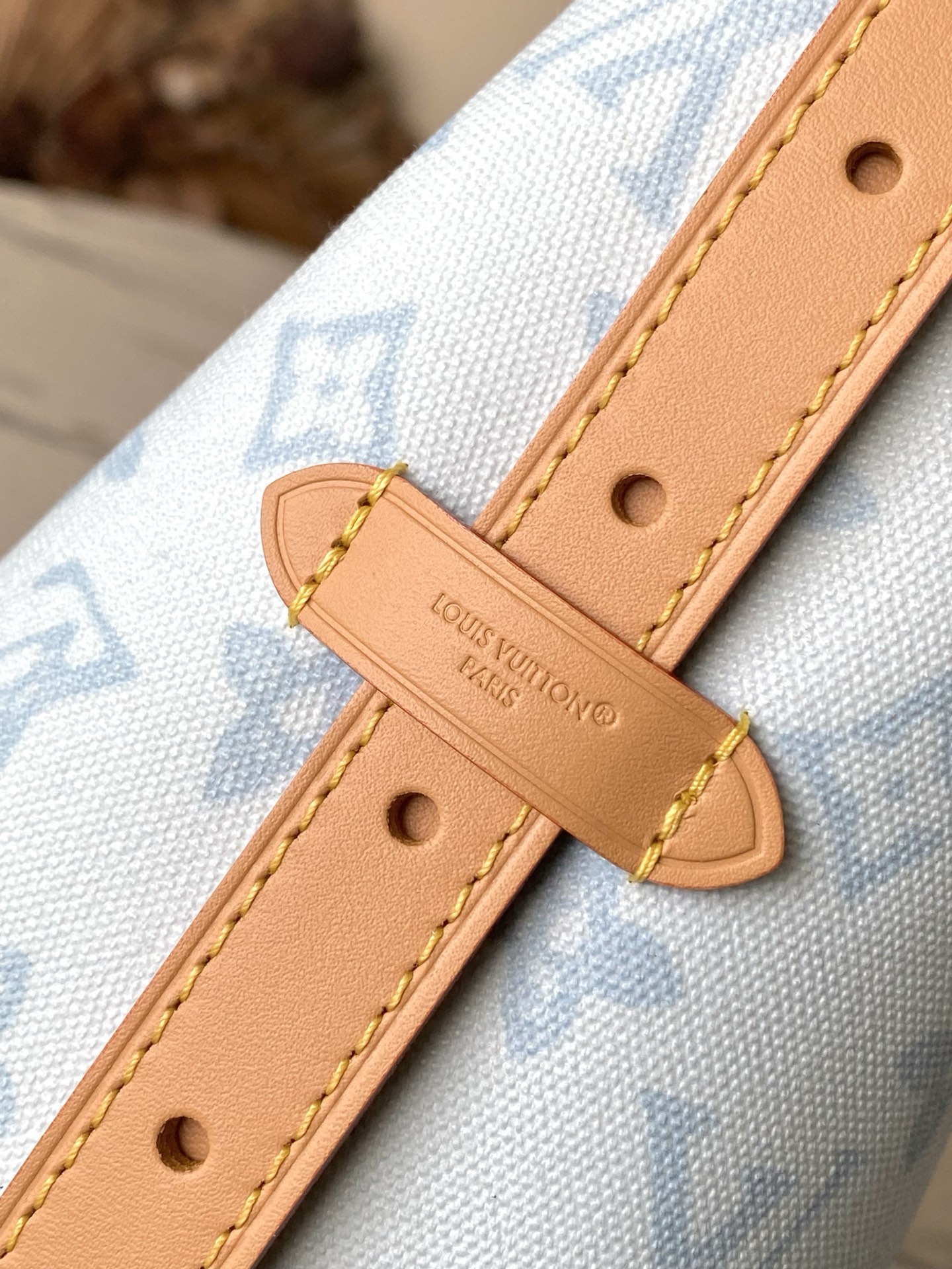 Louis Vuitton Basic Bag Cow Leather M-l