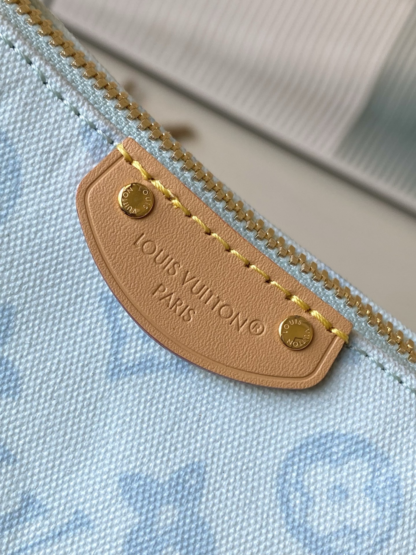 Louis Vuitton Basic Bag Cow Leather M-l-s