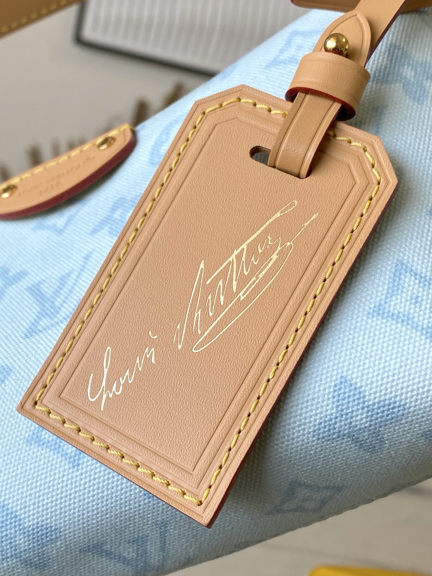 Louis Vuitton Basic Bag Cow Leather M-l-s