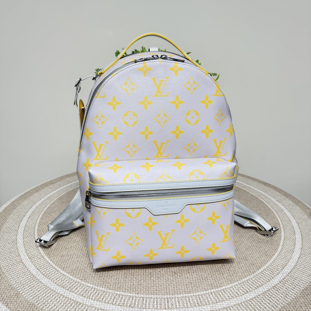 Louis Vuitton Backpack Cow Leather M-l-s