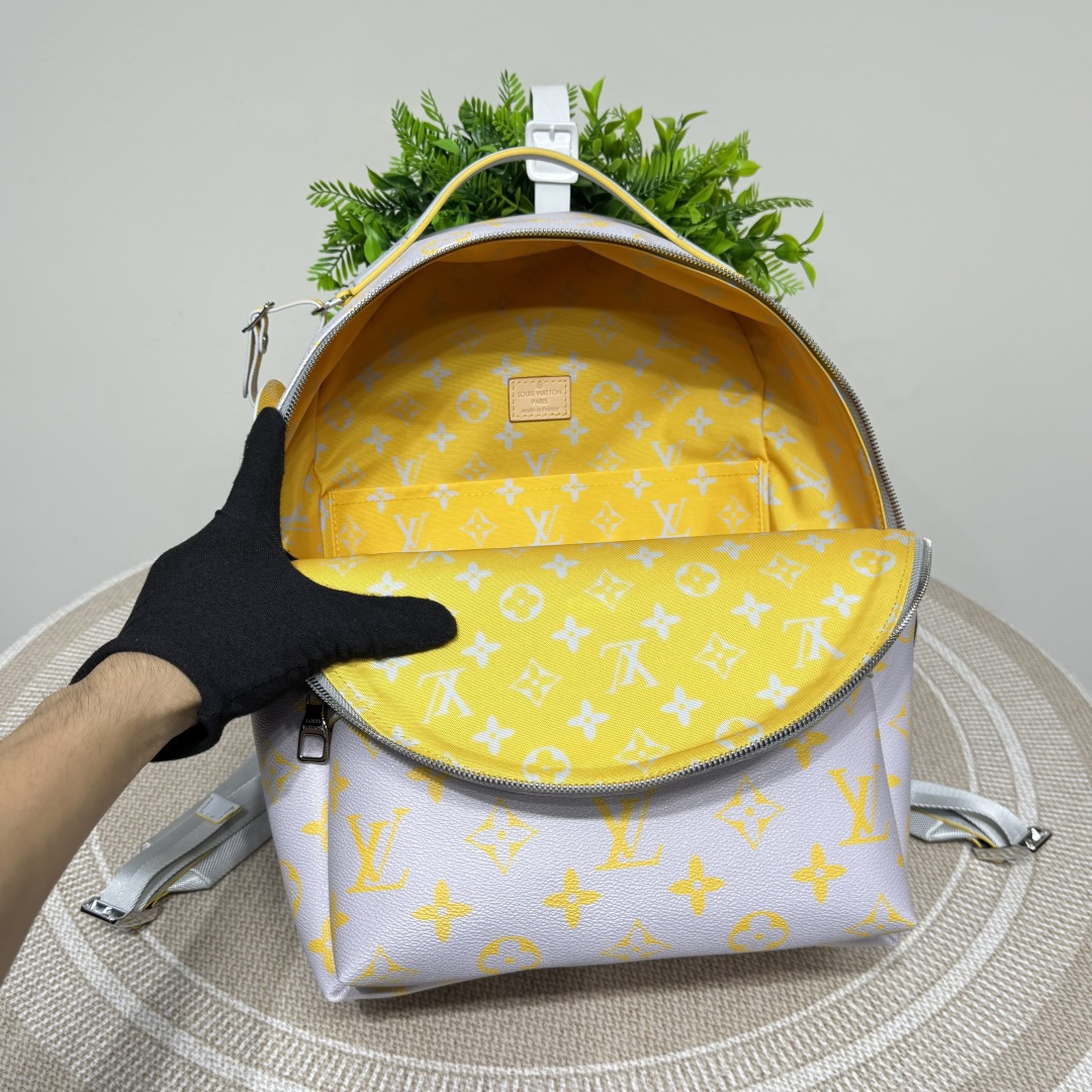 Louis Vuitton Backpack Cow Leather M-l-s