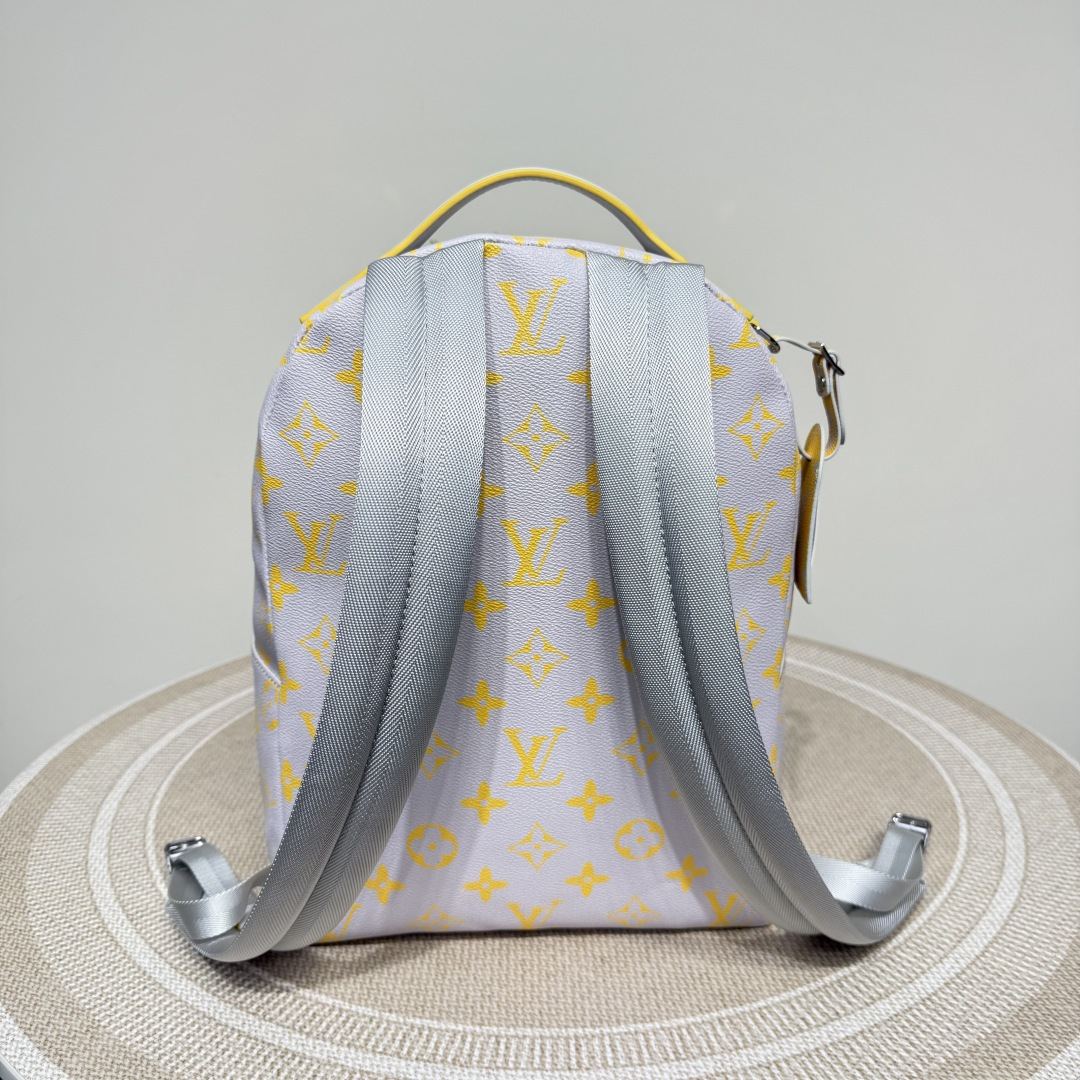 Louis Vuitton Backpack Cow Leather M-l-s