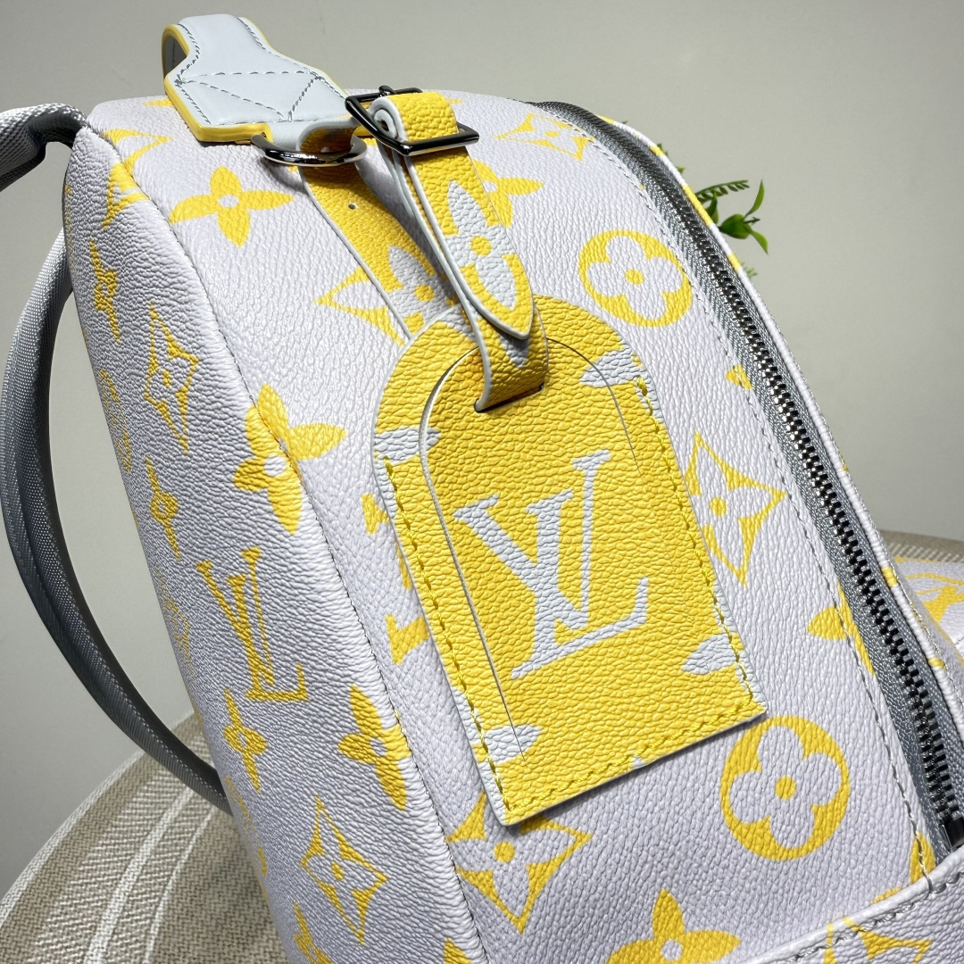 Louis Vuitton Backpack Cow Leather M-l-s