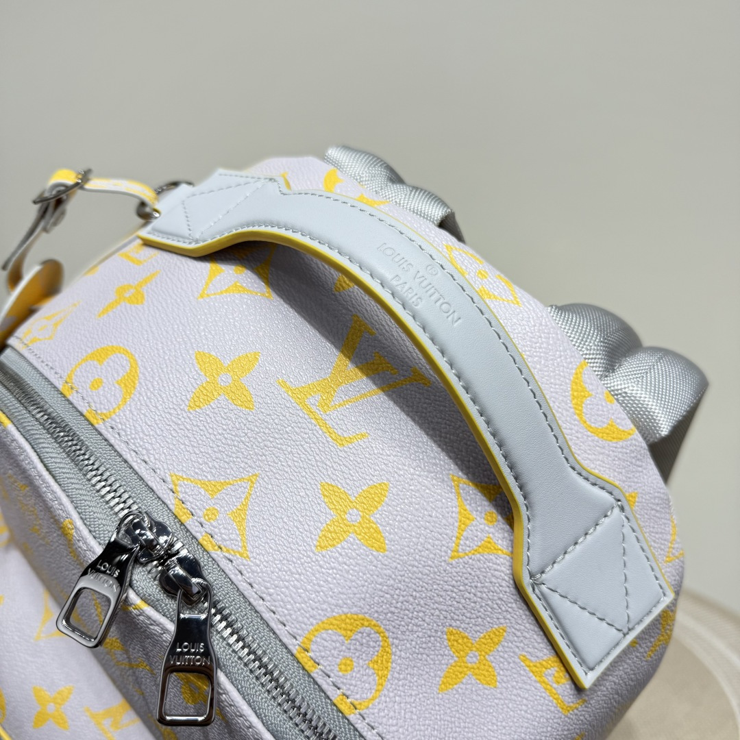 Louis Vuitton Backpack Cow Leather M-l-s