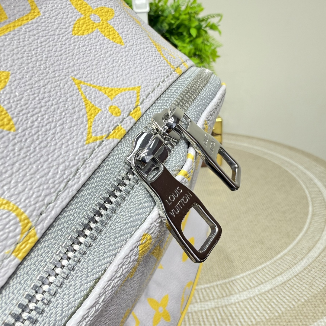 Louis Vuitton Backpack Cow Leather M-l-s