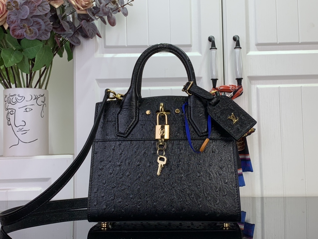 Louis Vuitton Basic Bag Cow Leather Black M-l-s