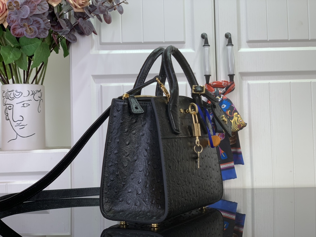 Louis Vuitton Basic Bag Cow Leather Black M-l-s