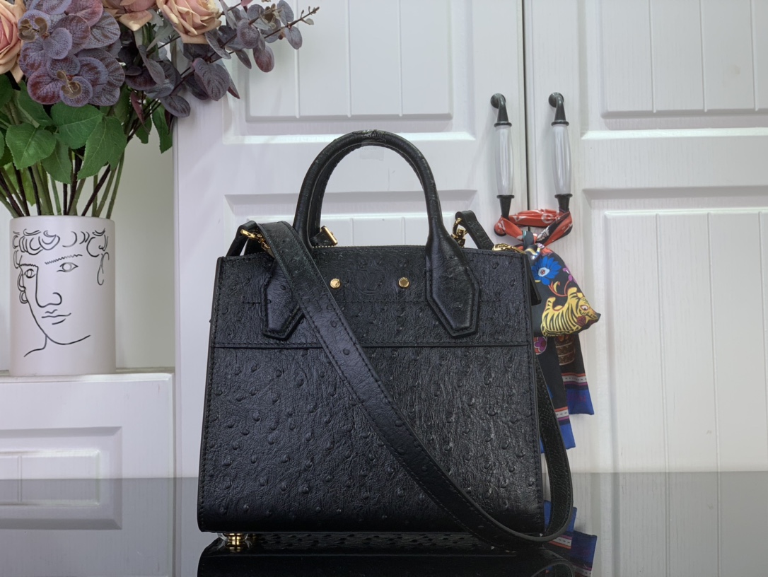 Louis Vuitton Basic Bag Cow Leather Black M-l-s