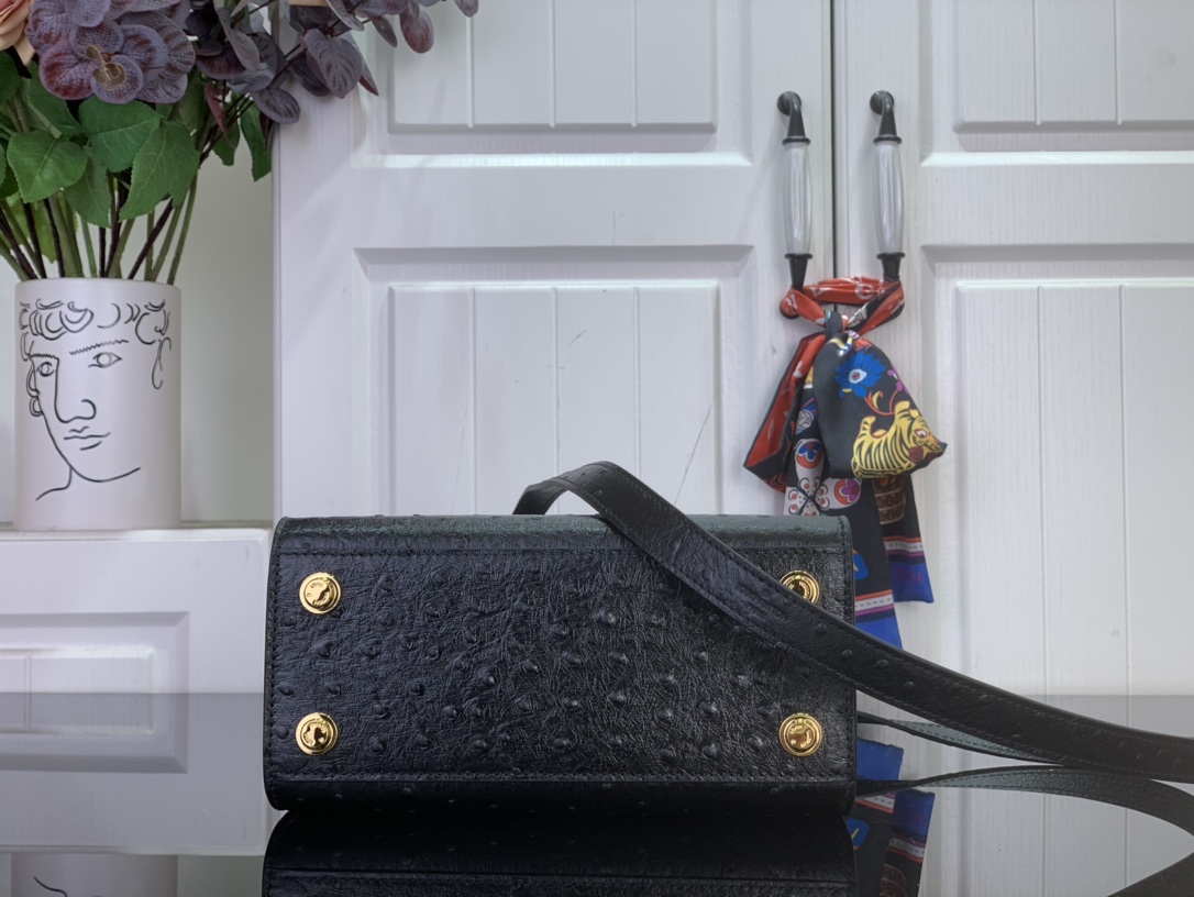 Louis Vuitton Basic Bag Cow Leather Black M-l-s