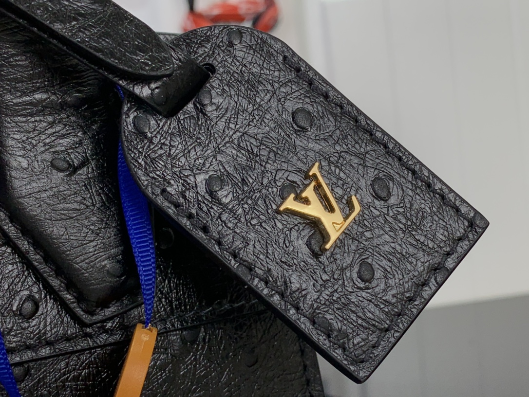 Louis Vuitton Basic Bag Cow Leather Black M-l-s