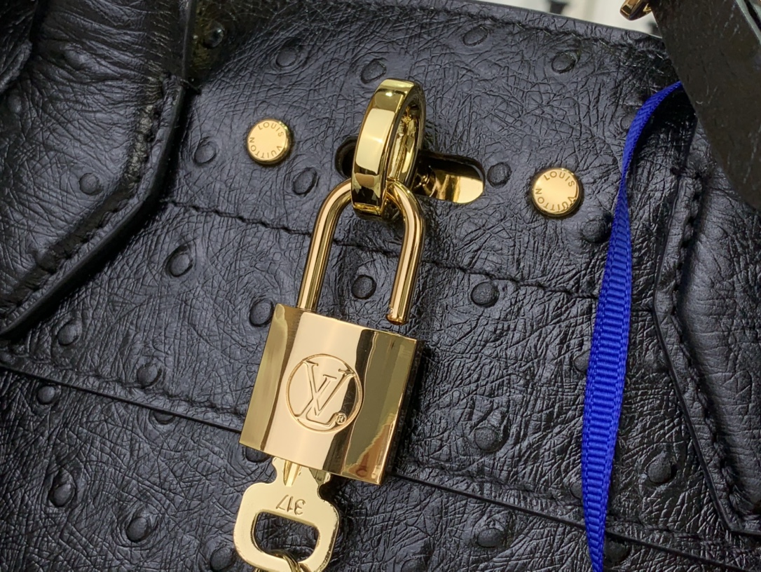 Louis Vuitton Basic Bag Cow Leather Black M-l-s