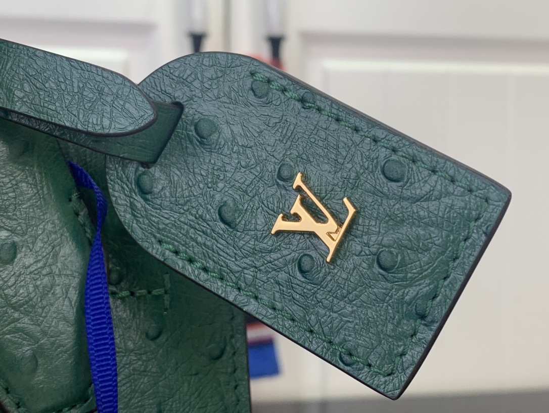 Louis Vuitton Basic Bag Cow Leather Green M-l-s