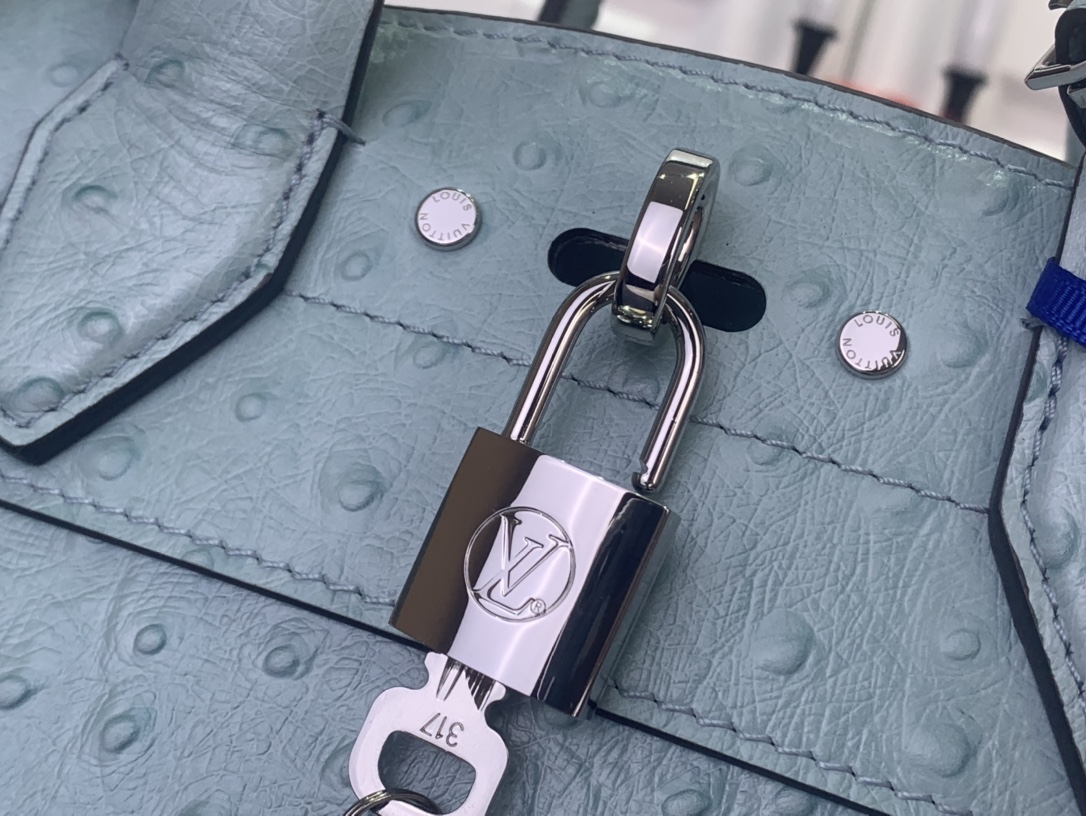 Louis Vuitton Basic Bag Cow Leather Blue M-l-s