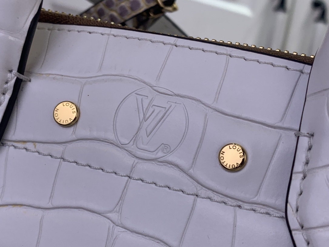 Louis Vuitton Basic Bag Cow Leather White M-l-s