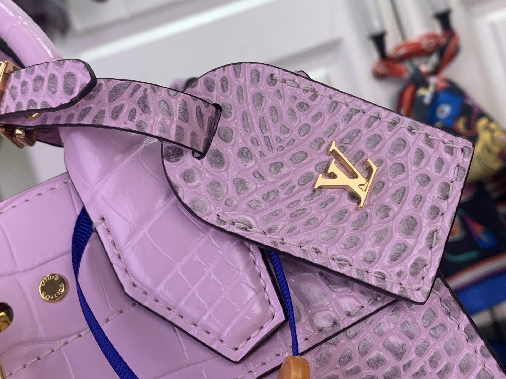 Louis Vuitton Basic Bag Cow Leather M-l-s