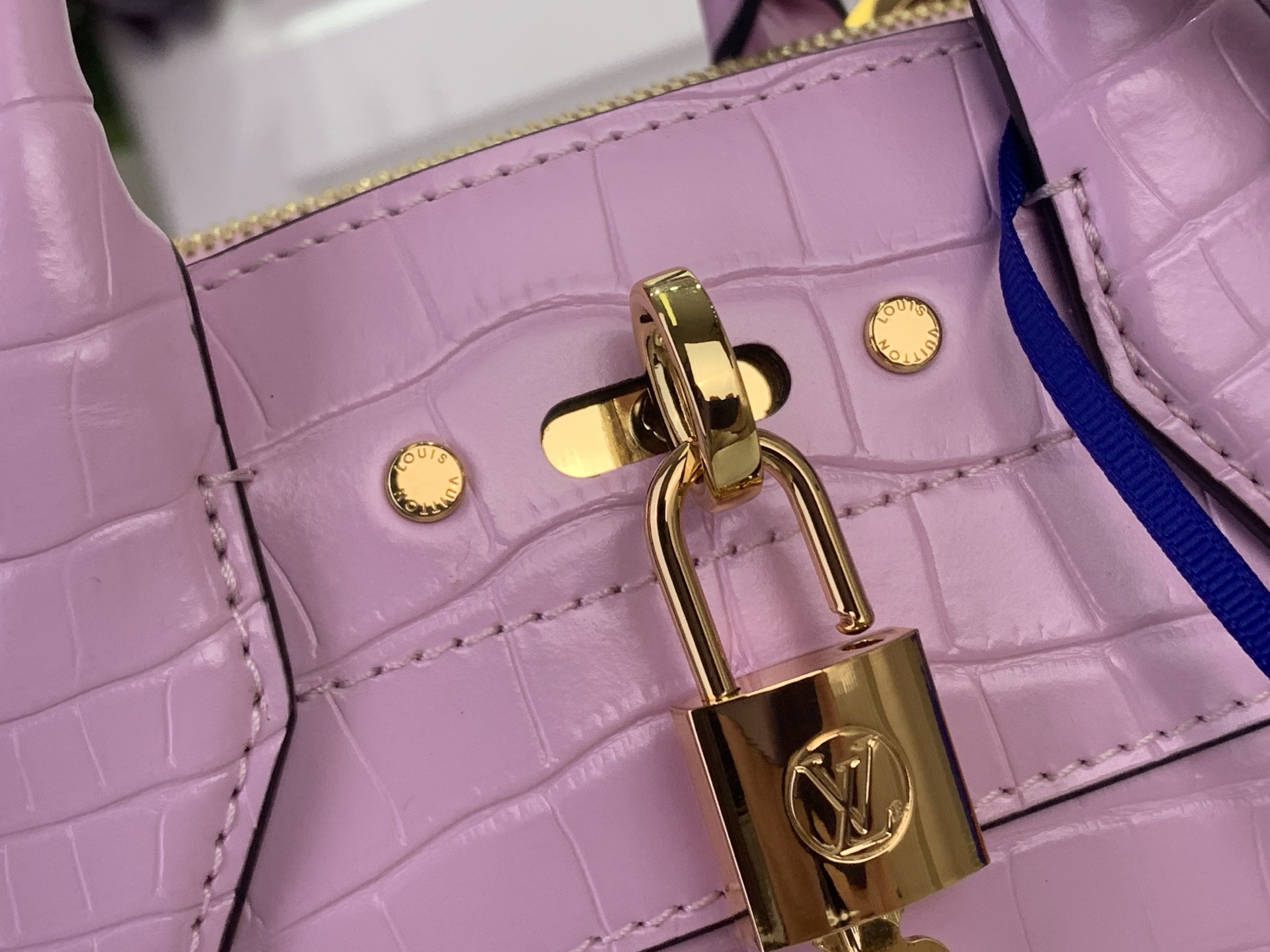 Louis Vuitton Basic Bag Cow Leather M-l-s