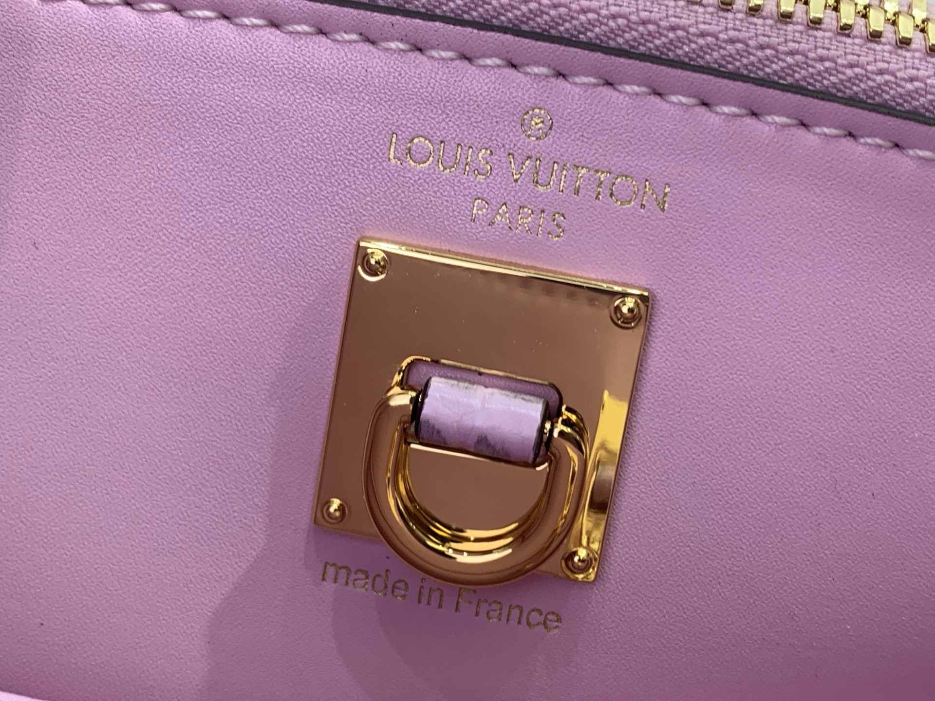 Louis Vuitton Basic Bag Cow Leather M-l-s