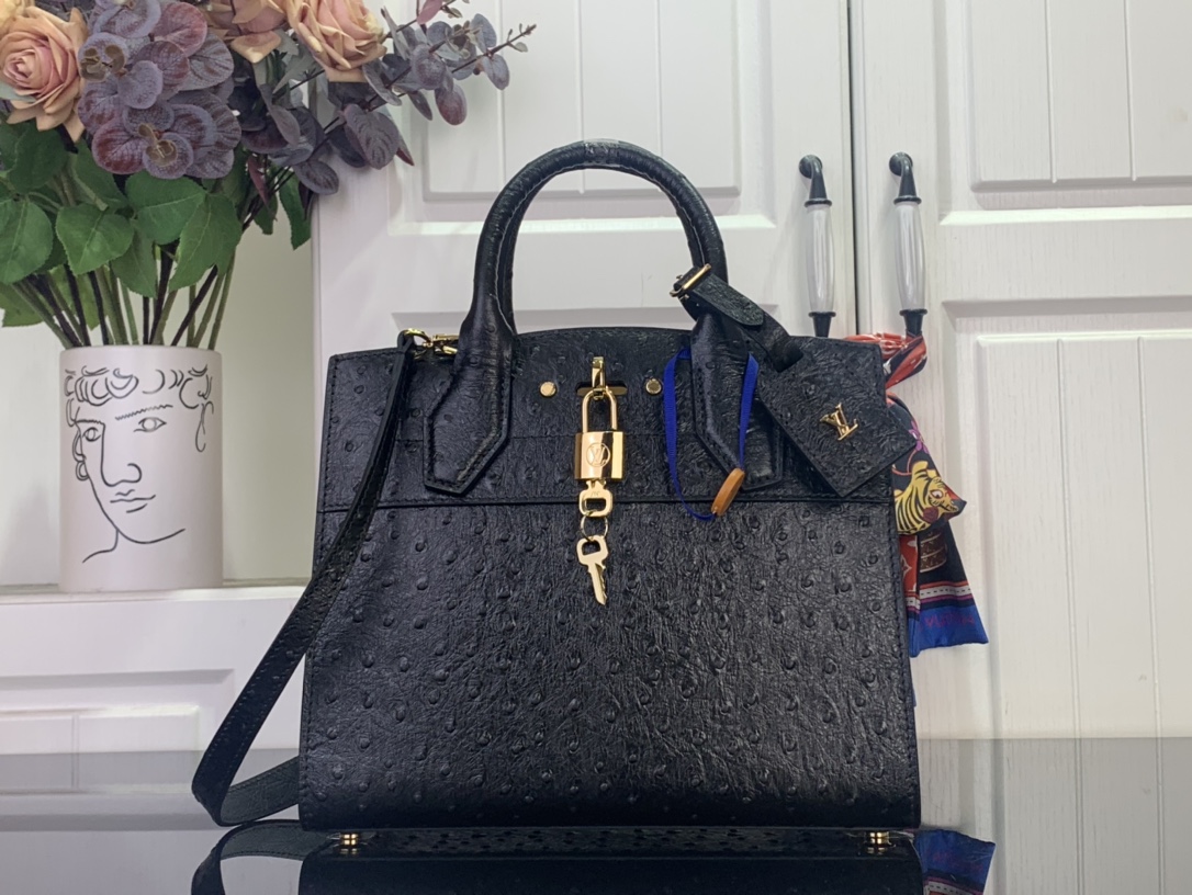 Louis Vuitton Basic Bag Cow Leather Black M-l-s