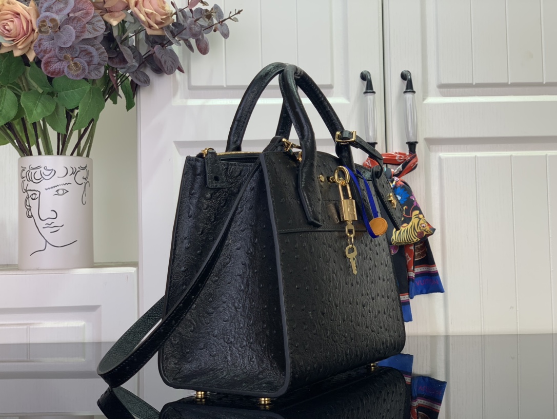 Louis Vuitton Basic Bag Cow Leather Black M-l-s