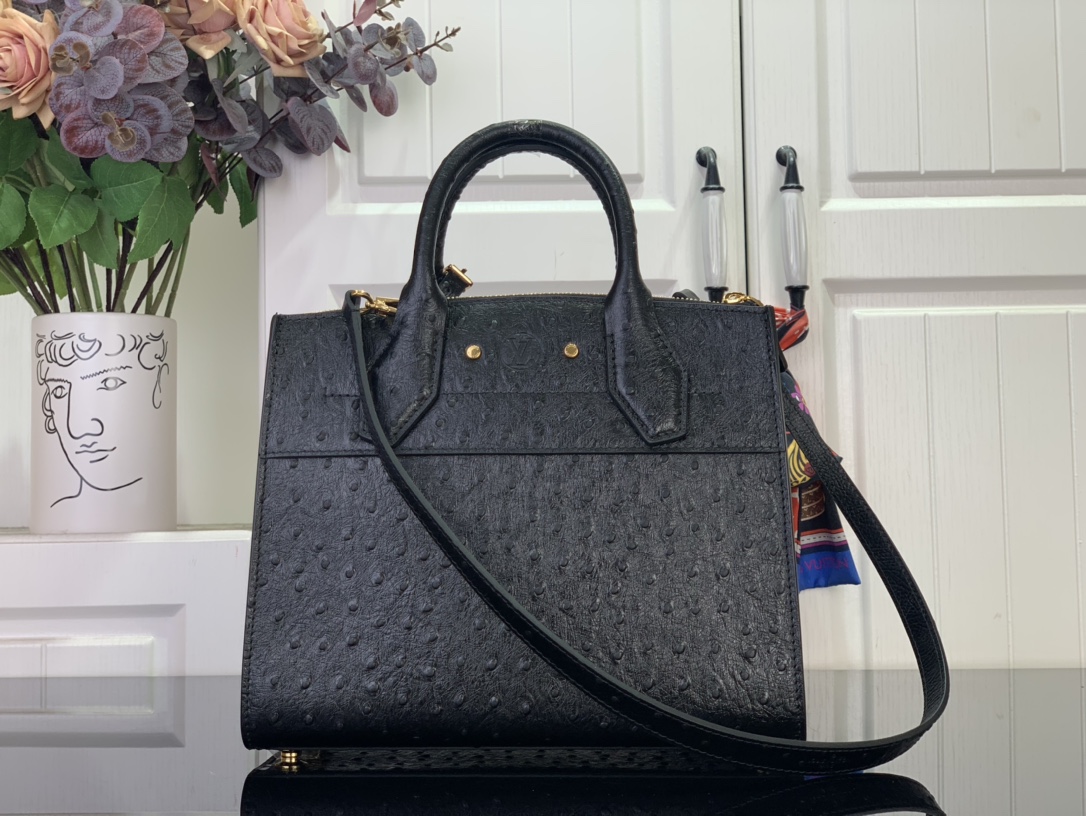 Louis Vuitton Basic Bag Cow Leather Black M-l-s
